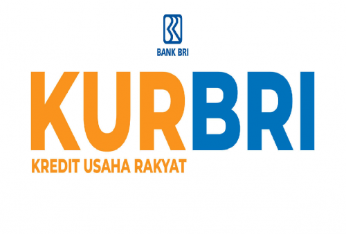 Yuk Ajukan KUR Bank BRI 2025 Plafon RP 100 Juta, Kembangkan Usahamu Sekarang Juga!
