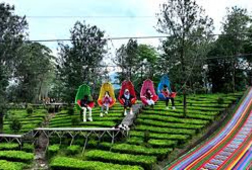10 Tempat Wisata di Puncak Bogor Terbaru 2025 yang Viral, Murah, dan Wajib Dikunjungi saat Libur Nataru!