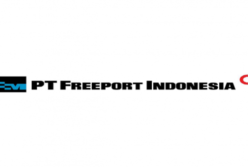 Mau Kerja di Industri Tambang? PT Freeport Indonesia Buka Lowongan Hingga 11 Juli 2024