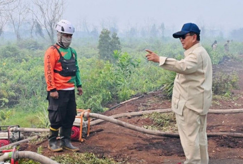 Prabowo Turun ke Kalimantan Cek Karhutla: Saya Datang Lihat Keadaan Nyata