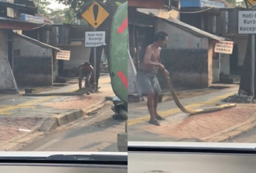 Kesal Pemotor Terobos Trotoar, Viral Pria Hadang Jalur Pejalan Kaki Pakai Ular Piton Besar 
