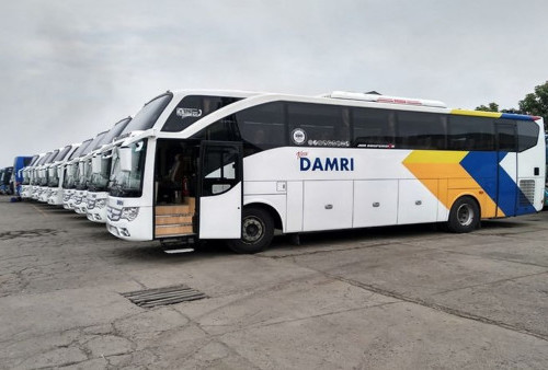 DAMRI Buka Lowongan Kerja untuk Profesional IT, Daftar Sebelum 10 Maret 2026