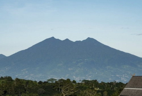 EIGER Nature Perkuat Konservasi Puncak dengan 120 Ribu Pohon dan Konsep 7E di Puncak Bogor