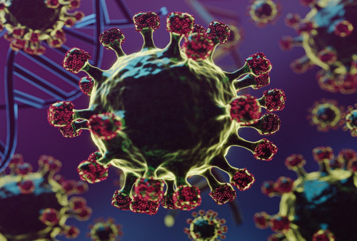 Virus Nipah dari Kelelawar Buah Masuk Daftar Prioritas WHO, Tingkat Kematian Capai 75 Persen