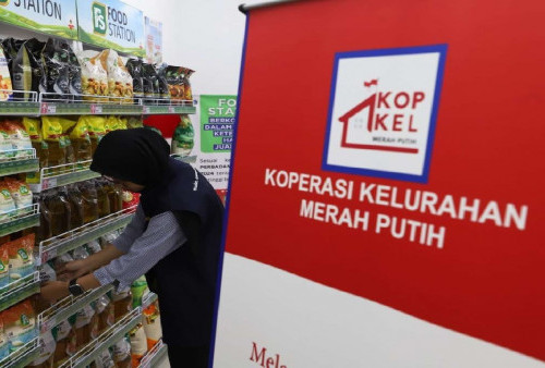 Masih Ada Waktu! Cek Tata Cara Daftar Koperasi Merah Putih 2026, Link Resmi dan Syaratnya Wajib Tahu