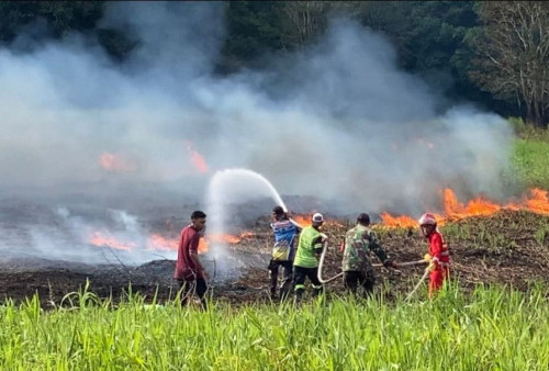 Karhutla Kalimantan Makin Membara, Malaysia Turun Tangan Kirim Pesawat dan 3 Helikopter