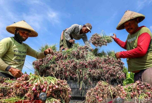 Inflasi Cuma Ngegas Dikiiit! Harga Cabai Jinak, BBM Adem, Dompet Rakyat Belum Tentu Ikut Senyum