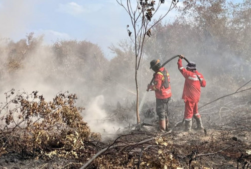 96 Kasus Korporasi Terseret Karhutla, Polisi Hentikan 5 Perkara karena Bukti Tak Kunjung Muncul