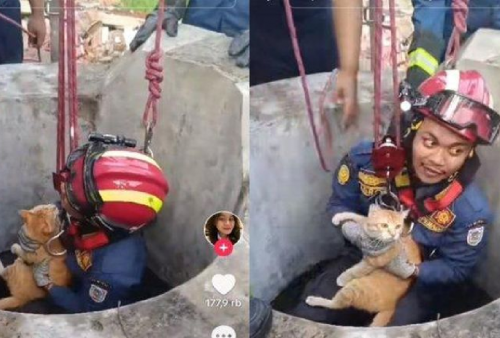 Viral! Damkar Berwajah Tampan Selamatkan Kucing Kecebur Dalam Sumur