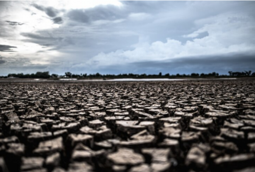 Peringatan dari BMKG: Siap-siap RI Hadapi El Nino-Monsun Asia di Musim Hujan 2024!