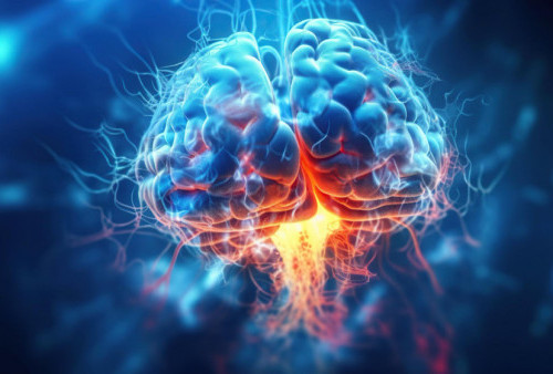 Otak Manusia: Organ Ajaib yang Penuh Kejutan!
