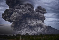 Aktivitas Anak Krakatau Menurun Hari ini, Mengapa Erupsi Susulan Masih Bisa Terjadi?