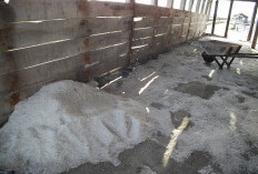 Satgas Udara Taburkan 29 Ton Garam untuk Atasi Karhutla di Riau Sejak Februari