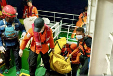 KM Virgo Transport 8 Tenggelam, 126 Orang Masih Hilang, Basarnas Temukan Lagi Satu Korban