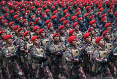 HUT ke-81 TNI Batal Digelar di Monas, Prajurit Sibuk Urus Bencana