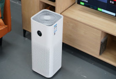 Tak Perlu Bingung, Ini 5 Air Purifier Paling Worth It untuk Rumah dan Apartemen