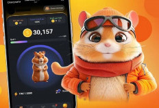 Trik Mendapatkan Koin Gratis dan Jutaan Hadiah dari Sandi Hamster Kombat