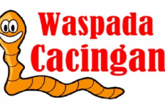 Belajar Dari Kasus Raya Meninggal Karena Cacing Ditubuhnya, Bagaimana Cara Menjaga Anak Supaya Tidak Cacingan?