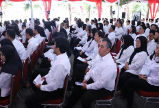 CPNS Dibuka untuk Lulusan SMA dan SMK! Cek Panduan Lengkap Daftar dan Formasi Favorit