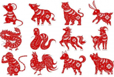 Ramalan Harian Shio Tikus, Naga, Kuda dan Monyet Untuk Hari Senin, 1 Juli 2024