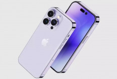 Harga iPhone Second April 2026 Turun, Ex iBox Mulai Rp 3 Jutaan Ini Daftar Lengkapnya