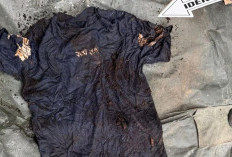 Misteri Kerangka Manusia dalam Pohon Aren di Sergai, Identitas Ditelusuri Lewat DNA