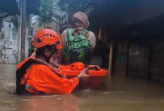Banjir Jakarta Meluas, BPBD Catat 147 RT Terendam dan Puluhan Jalan Tergenang