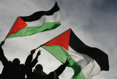 Trump dan Pemimpin Negara Mediator Resmikan Kesepakatan Perdamaian Gaza di Sharm el-Sheikh, Apa Isinya?