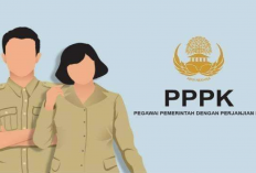 PPPK 2025 Resmi Dibuka: Ada Instansi Buka Formasi Sampai 33 Ribuan Pelamar!