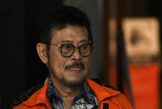 Tok Hakim Memutuskan, SYL Dihukum 10 Tahun Penjara!