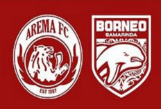 Link Live Streaming Arema FC vs Borneo FC di Liga 1 2024/25: Laga Sengit di Stadion Soepriadi