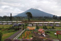 8 Rekomendasi Wisata Alam dan Budaya di Temanggung yang Ramai Diburu Wisatawan