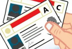 Cek Biaya Resmi Bikin dan Perpanjang SIM Terbaru: Dari SIM C Hingga Internasional, Awas Biaya Tambahan!