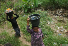 Kemarau Tak Main-Main! BMKG Bunyikan Alarm Nasional, Puncak Kekeringan Jatuh di September