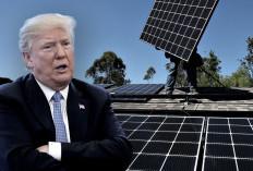Panel Surya RI Dihantam Tarif Trump 114 Persen, Pemerintah Bilang Ada Berkah di Baliknya