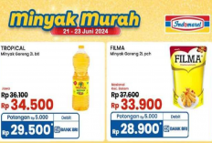 Promo Indomaret 'Minyak Murah' 23 Juni 2024, Ada Harga Spesial untuk 2 Liter Berbagai Merek!