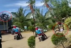 Viral Pria di Pati Tersangkut Kabel Listrik dan Terjatuh Saat Karnaval Sound Horeg 