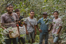 Koro Roasters: Brand Kopi Bali yang Angkat Nama Indonesia di Panggung Dunia