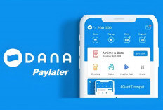Satset! 7 Langkah ini Bisa Memandu Anda untuk Aktifkan DANA Paylater Terbaru 2023: Belanja Makin Seru