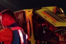 Tragedi Tol Krapyak Semarang: 16 Penumpang Tewas, Sopir Bus Selamat