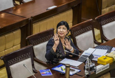 Destry Damayanti Jadi Pjs Gubernur BI, Siapa Pengganti Perry Warjiyo?