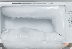 Jangan Sampai Salah, Ini Dia Cara yang Benar Membersihkan Freezer yang Penuh Kembang Es