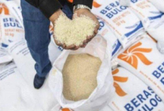 Masuk Bulan Juli, Bansos Beras 10Kg Disalurkan Kembali Cek Penerimanya Sekarang