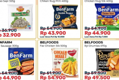 Bekelin Anak Sekolah Makin Hemat, Intip Daftar Promo Frozen Food di Alfamart 14 Juli 2025