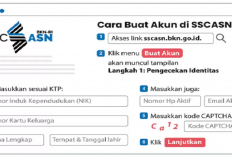 Jangan Lewatkan! Pendaftaran CPNS Dibuka Hari Ini Pukul 17.08 WIB, Ini Link Pendaftarannya