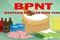 Bansos BPNT 2026 Mulai Cair: Begini Cara Cek Status Penerima Cuma Modal Internet Aja!