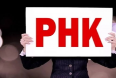 PHK Massal Tak Terbendung! Apindo: Sudah 150 Ribu Kena dan Akan Bertambah