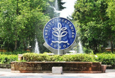 Lowongan Kerja Badan Investasi dan Bisnis IPB Januari 2026, Terbuka Lulusan SMA hingga S1