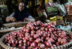 Kulit Bawang Merah Bisa Bikin Panel Surya Lebih Tahan UV, Sampah Dapur Naik Kelas Jadi Teknologi