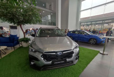 Penjualan Subaru Terjun Bebas, SUV dan Motorsport Dipaksa Jadi Penyelamat